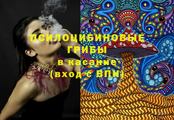 гидра Алексин